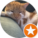 Sehr schön profile picture
