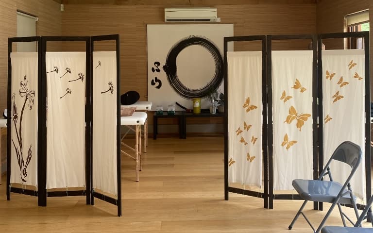 treatment room with two screens on left and right with butterfly and plant details, beyond that the end of two treatment tables can be seen. in the foreground two chairs in the waiting room.
